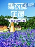洛阳薰衣草庄园